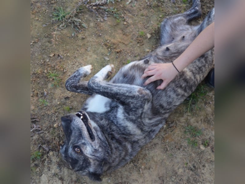 ❤️LOBA❤️