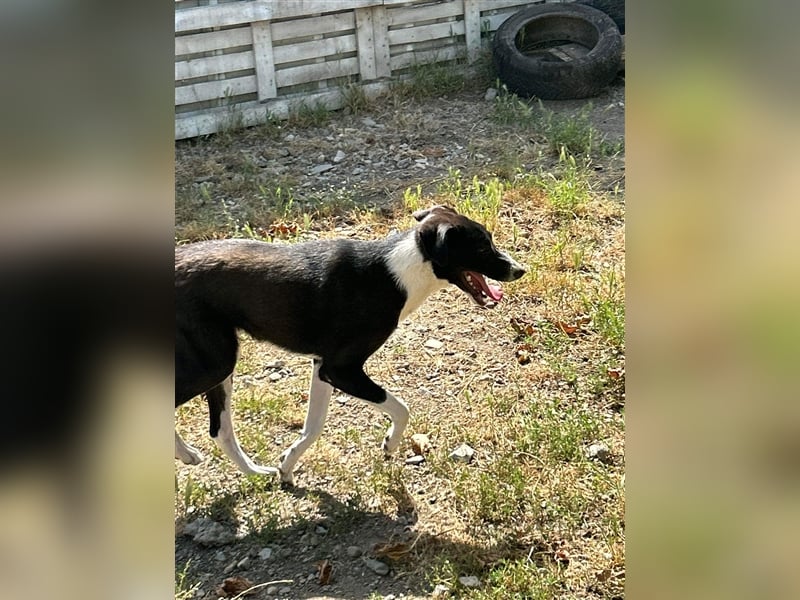 Zauberhafte Kayla ist bereit!