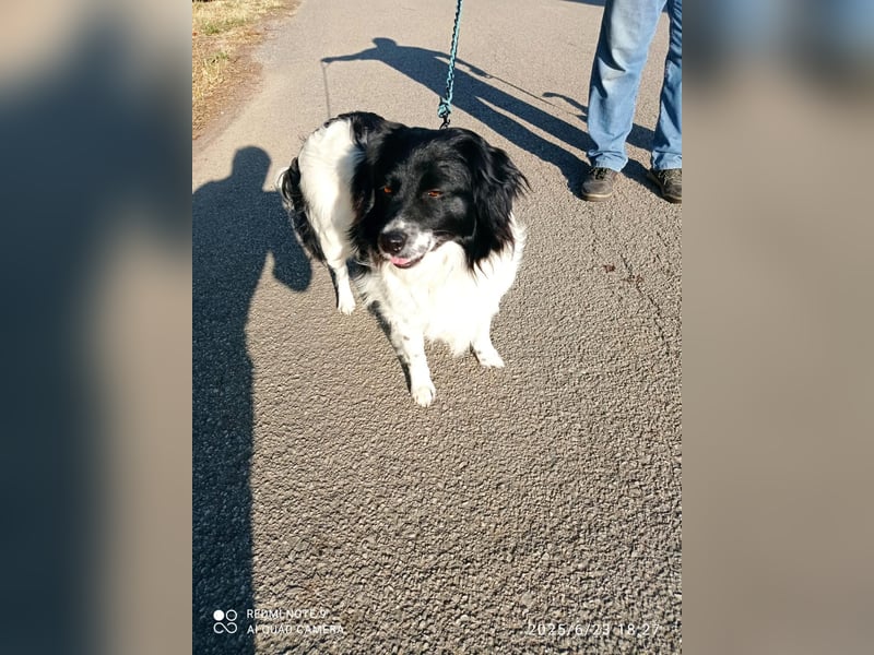 Fortuna sucht ihre Menschen