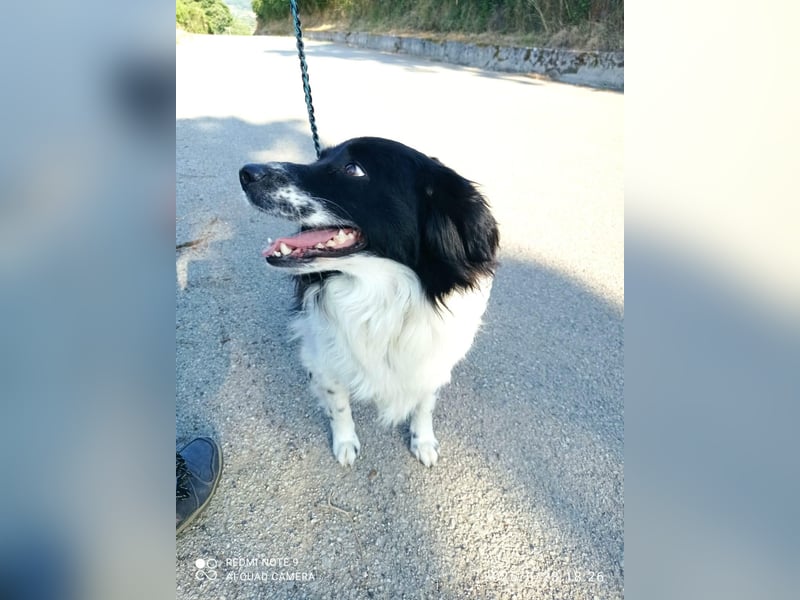 Fortuna sucht ihre Menschen
