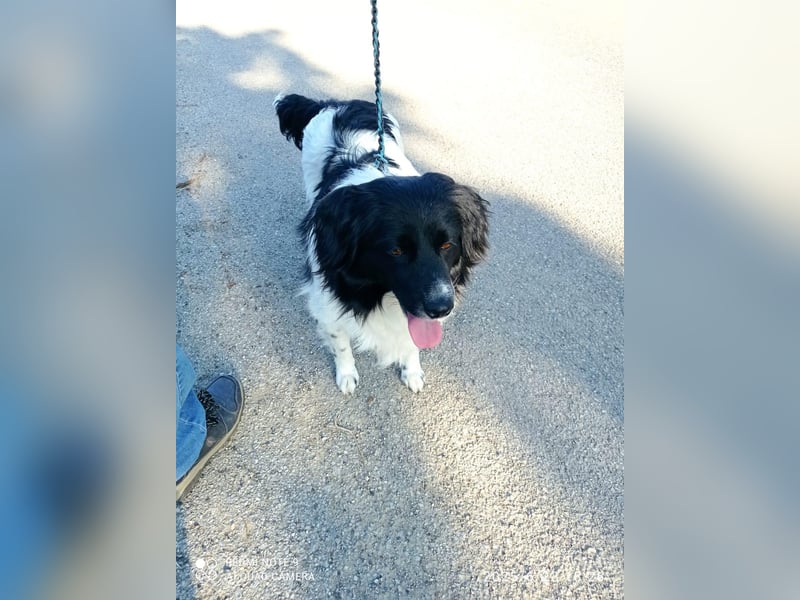 Fortuna sucht ihre Menschen