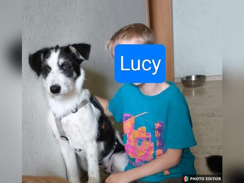 Lucy, aktives Zuhause gesucht, PS in 33034 Brakel
