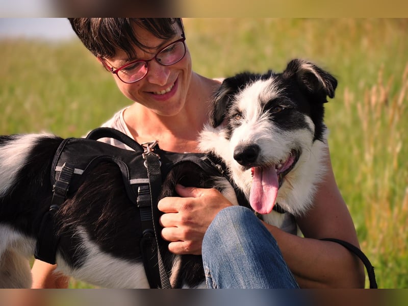 Lucy, unser Sonnenschein sucht ihr Familie, PS in 33034 Brakel