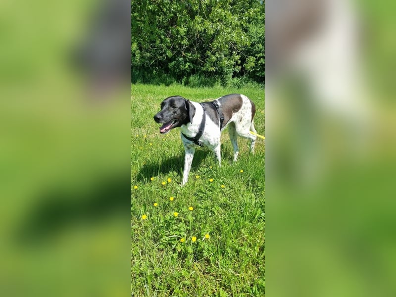Nina sucht ihre Herzensmenschen