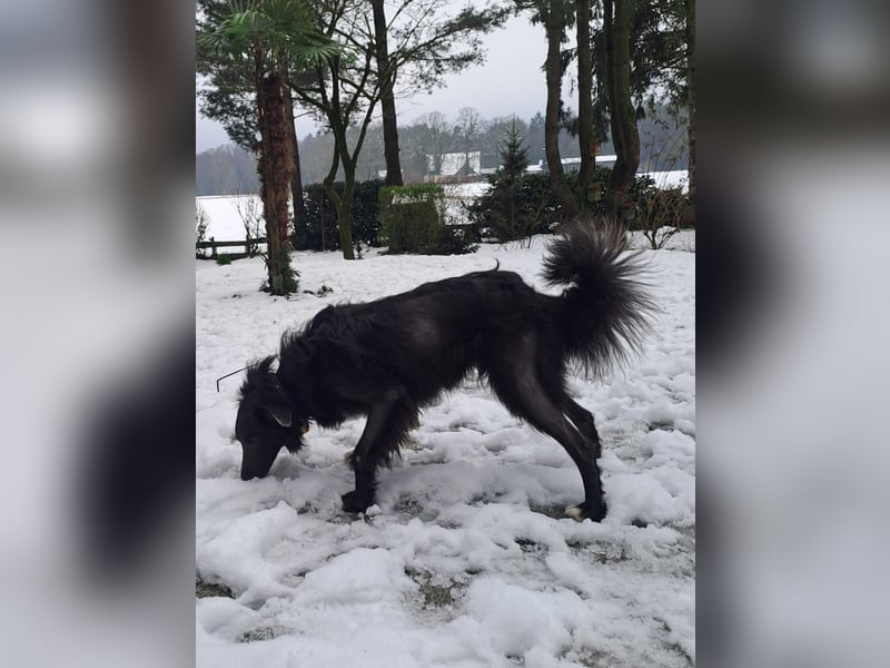Marley unsere Schönheit