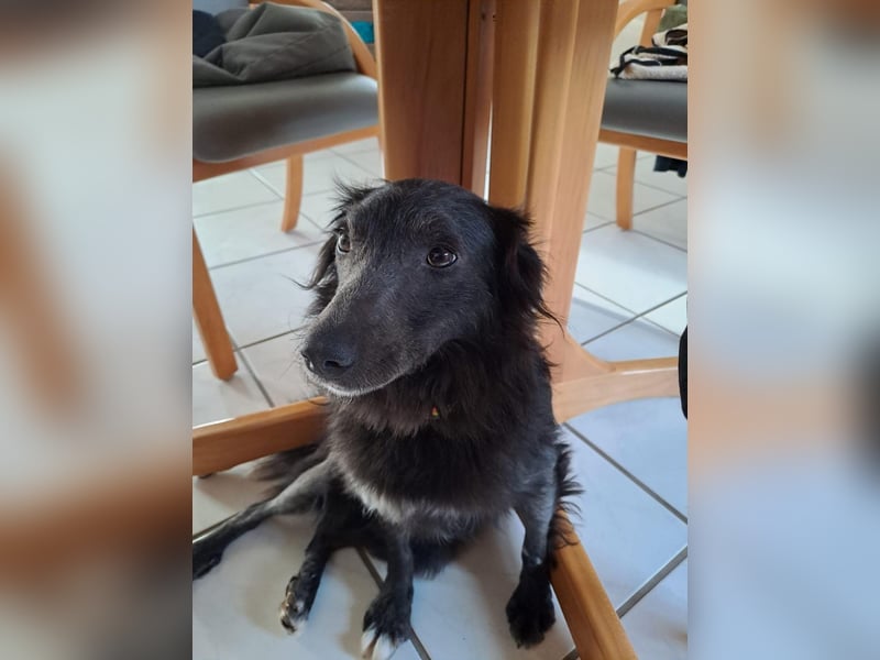 Marley unsere Schönheit
