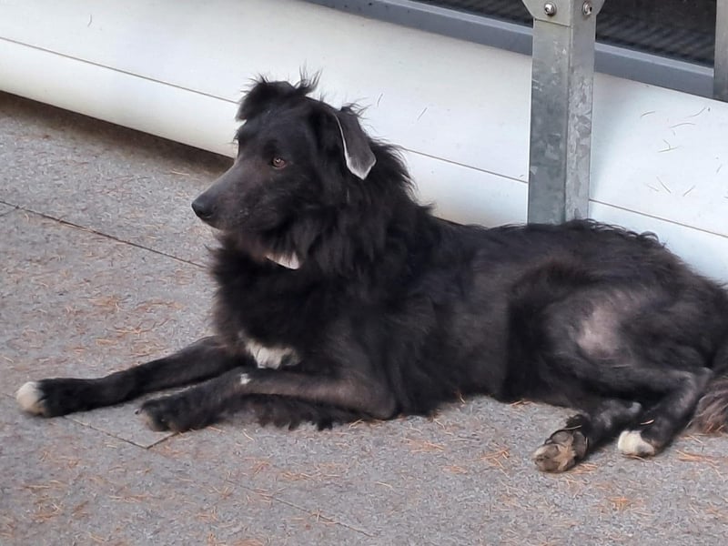 Marley unsere Schönheit