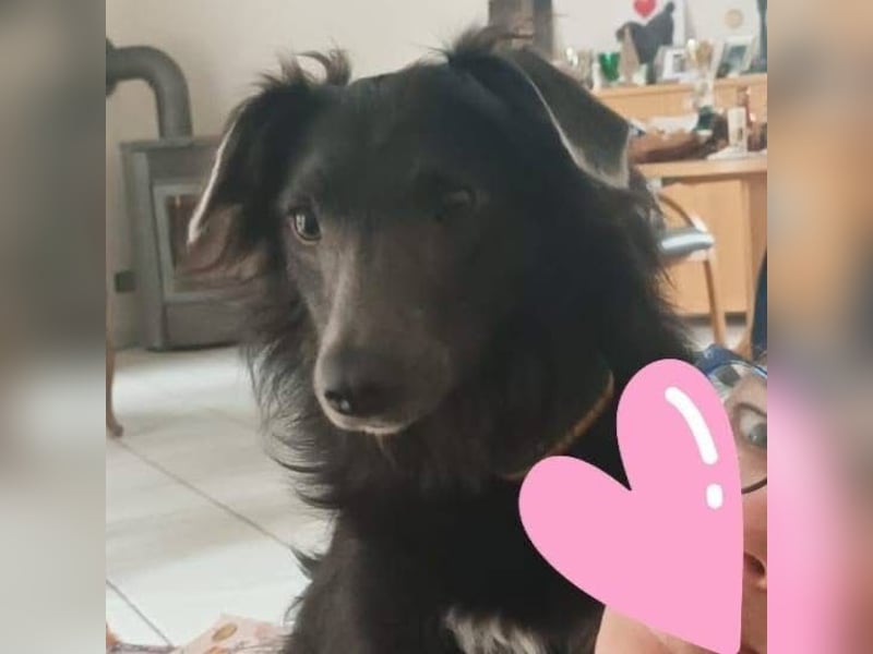 Marley unsere Schönheit