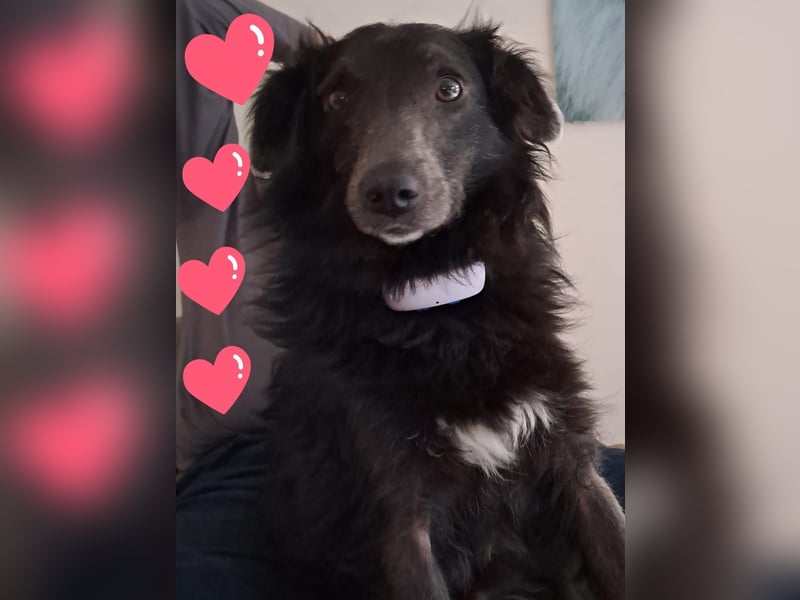 Marley unsere Schönheit