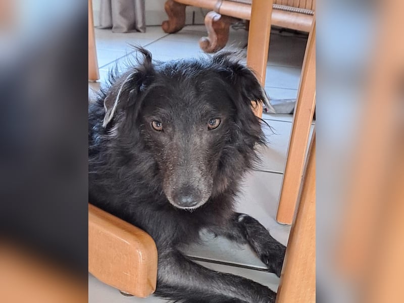 Marley unsere Schönheit