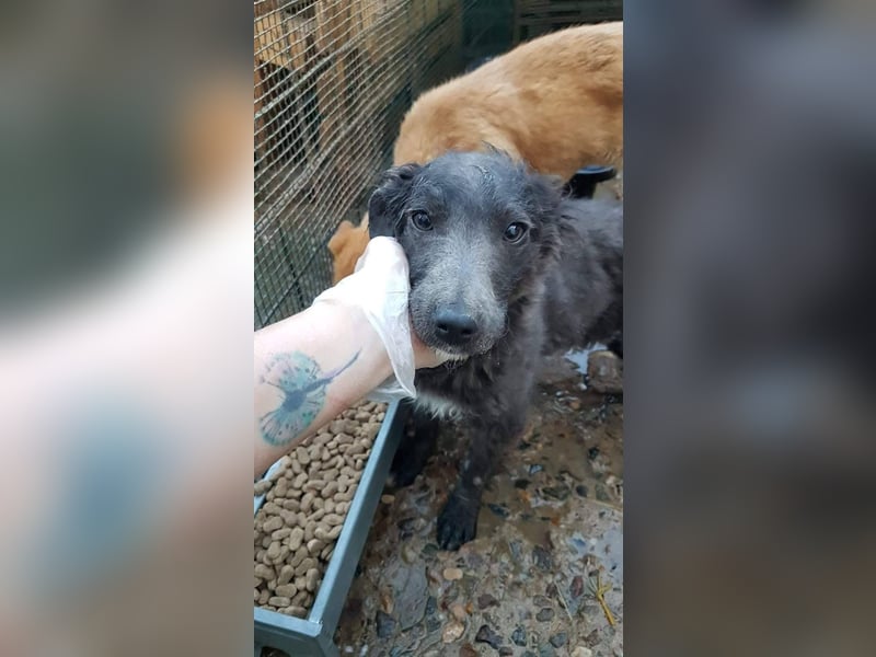 Marley unsere Schönheit