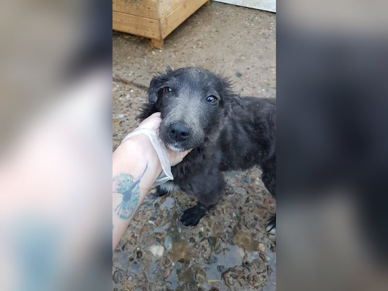 Marley unsere Schönheit