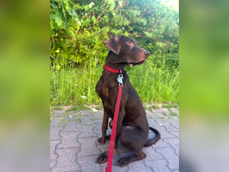 Luna - kinderlieb