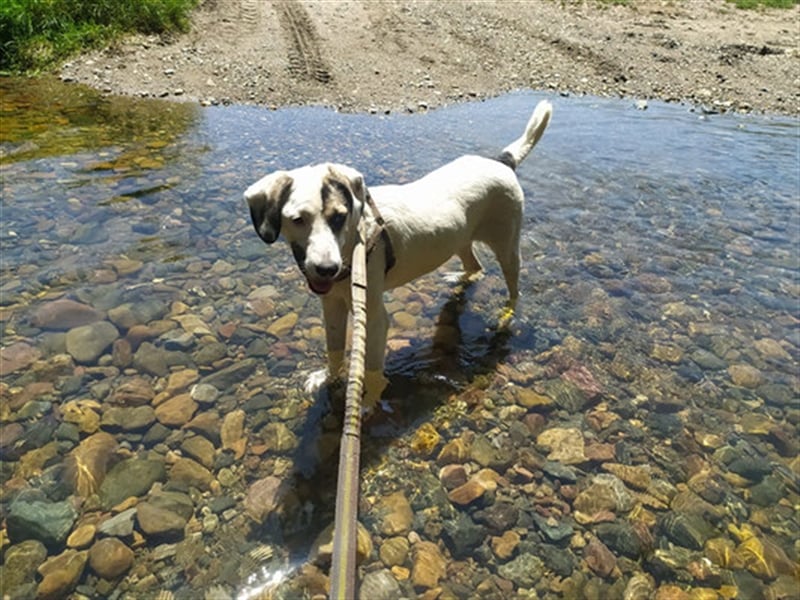 Eskarina