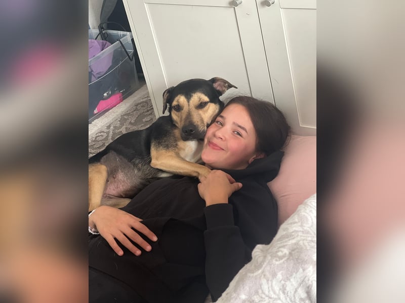 Liebe, ruhige, soziale Hündin in handlicher Größe sucht Zuhause