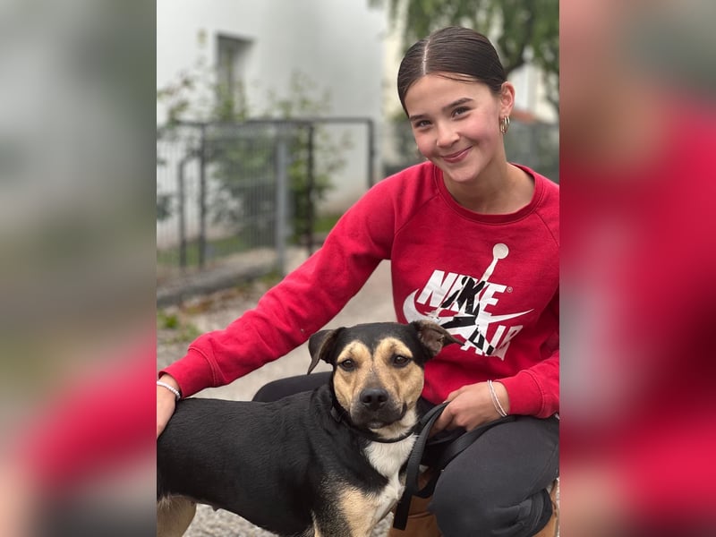Liebe, ruhige, soziale Hündin in handlicher Größe sucht Zuhause