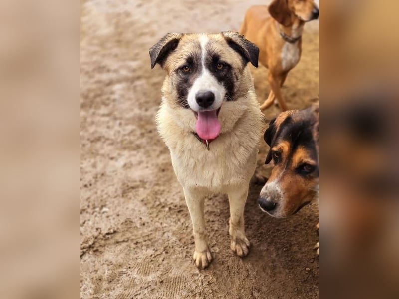 Smilla möchte auch endlich ihre Traumfamilie kennenlernen!