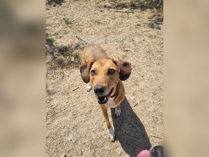Süße Sandy sucht dich