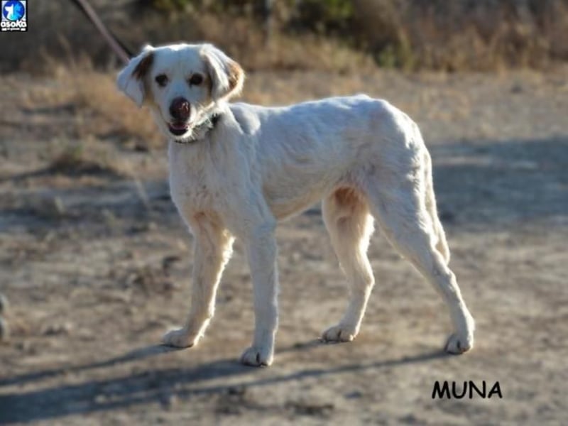 ❤️ MUNA ❤️   ❗NOTFALL❗