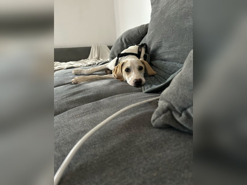 Ira sucht ihr Glück