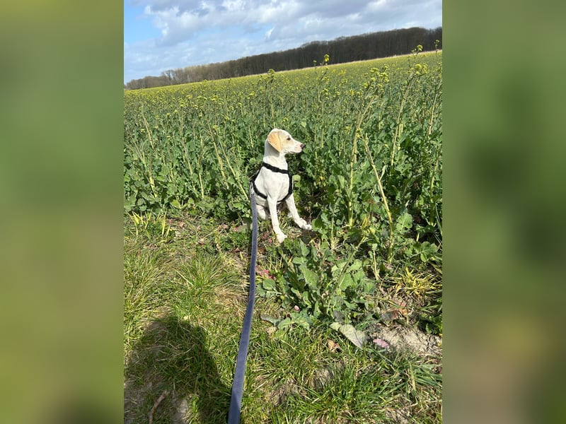 Ira sucht ihr Glück