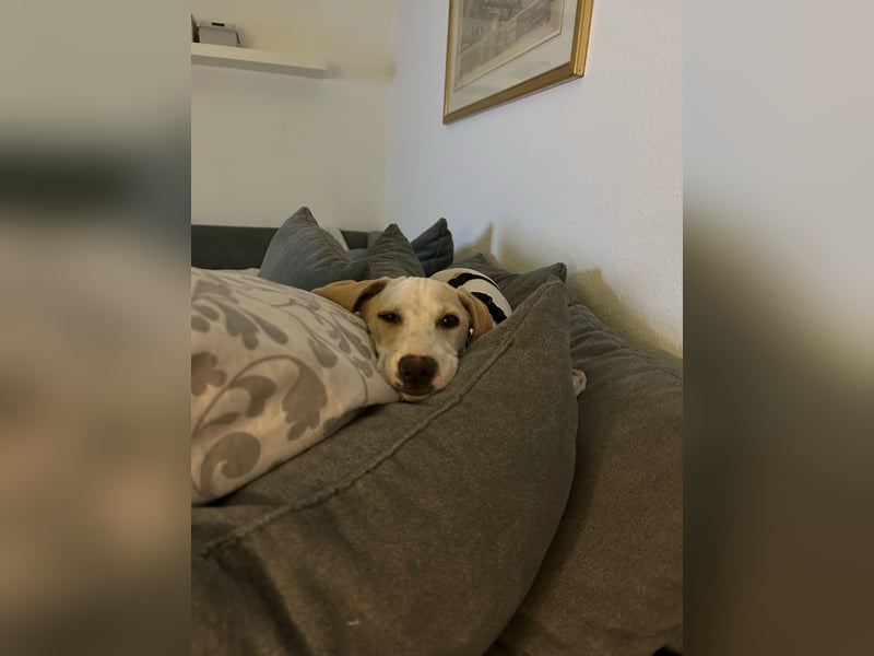 Ira sucht ihr Glück