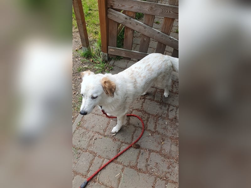 Paulina sucht ihre Familie