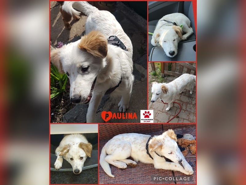 Paulina sucht ihre Familie