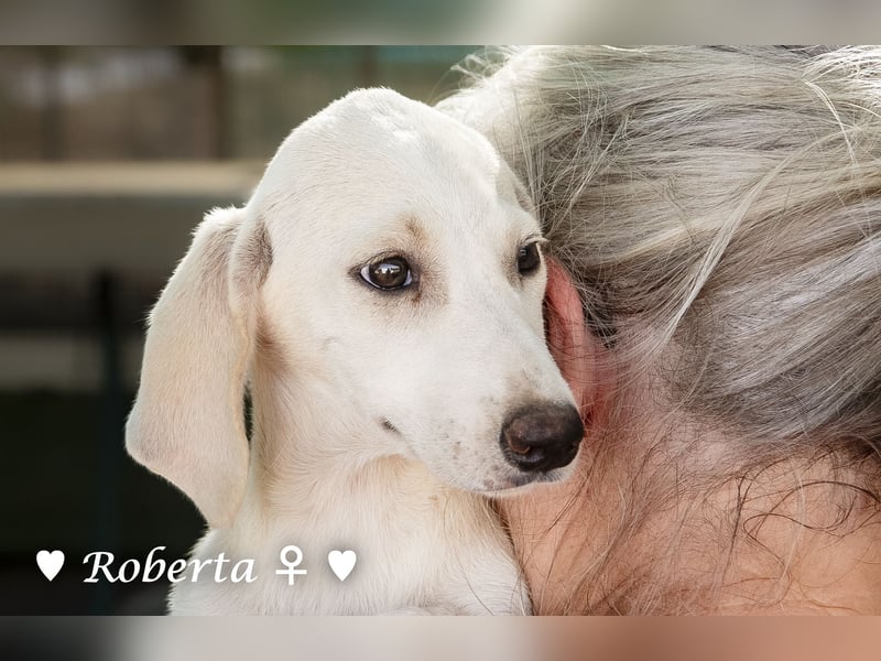 Roberta und Robbie, f.,  suchen eine Familie