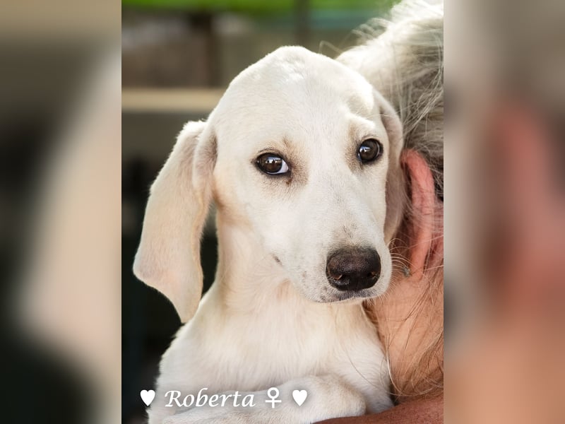 Roberta und Robbie, f.,  suchen eine Familie
