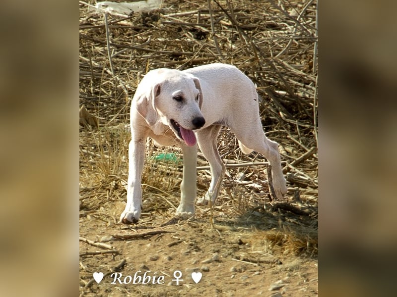 Roberta und Robbie, f.,  suchen eine Familie