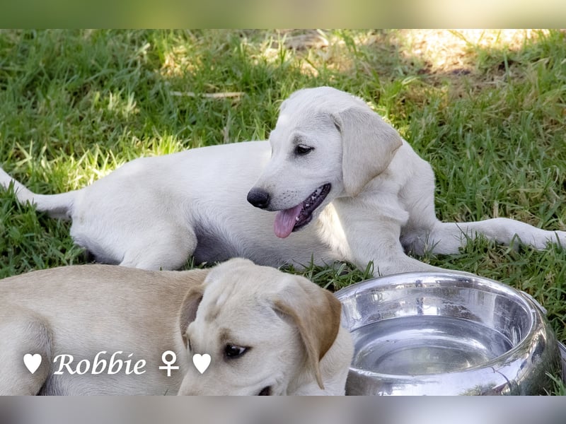 Roberta und Robbie, f.,  suchen eine Familie