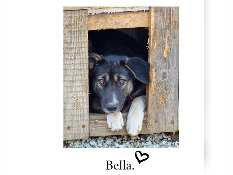 Bella
