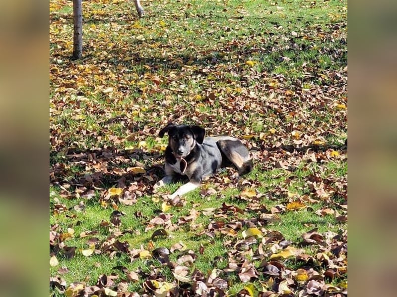 Bella