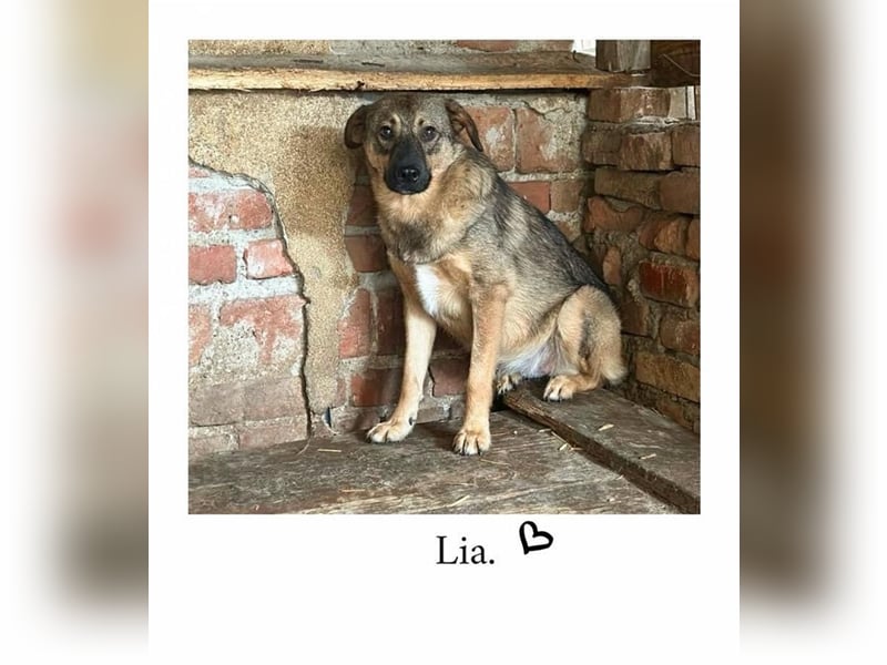 Lia