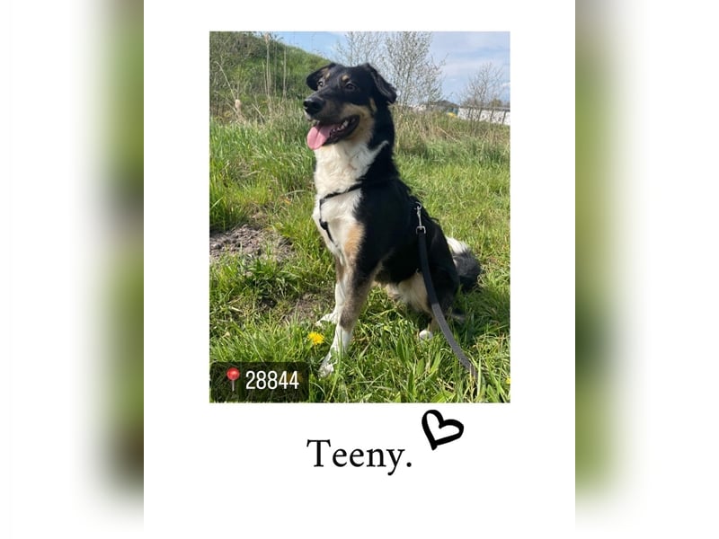 Teeny