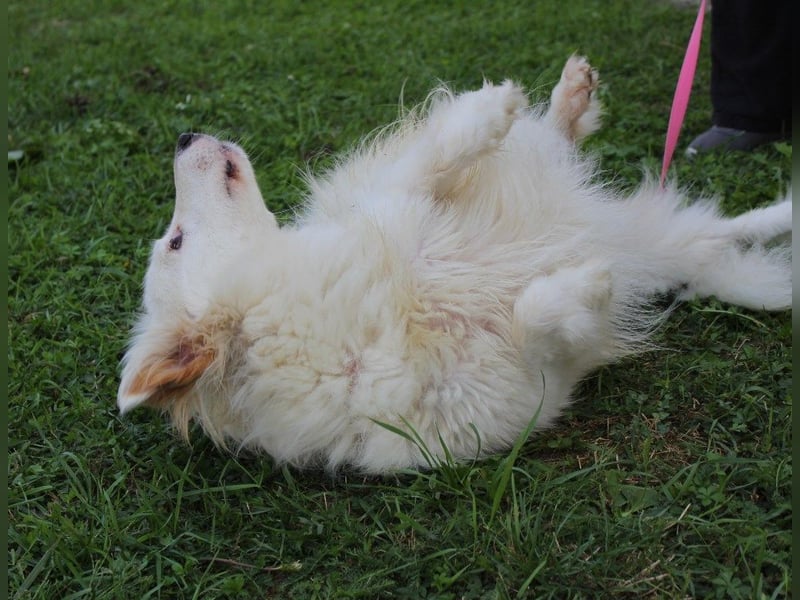 Latica: Sucht ein Zuhause