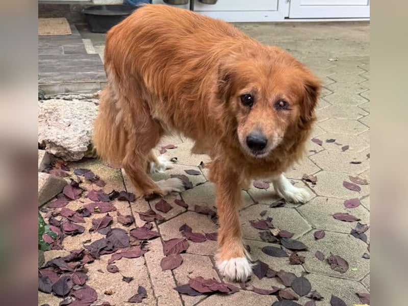 Pi: Liebevolle Seniorin