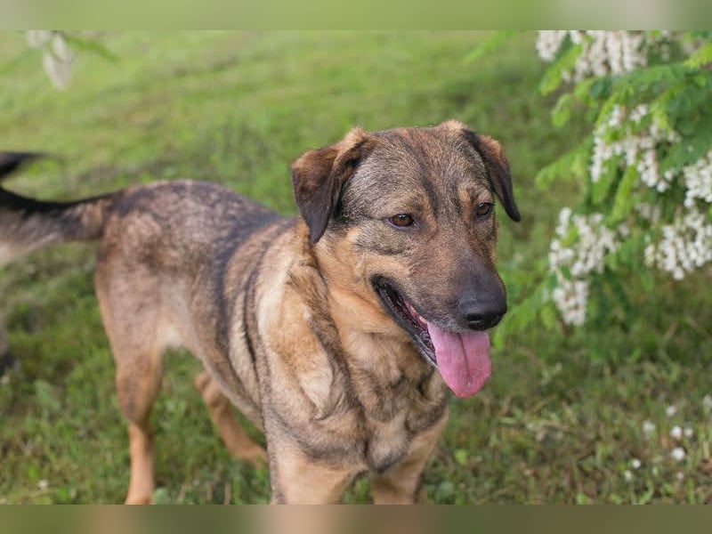 Smiley: Voller Liebe und Hoffnung