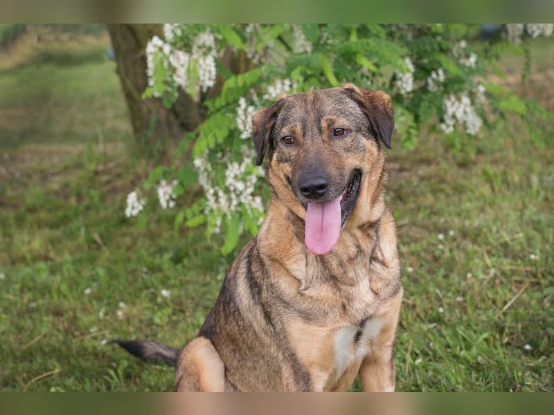 Smiley: Voller Liebe und Hoffnung