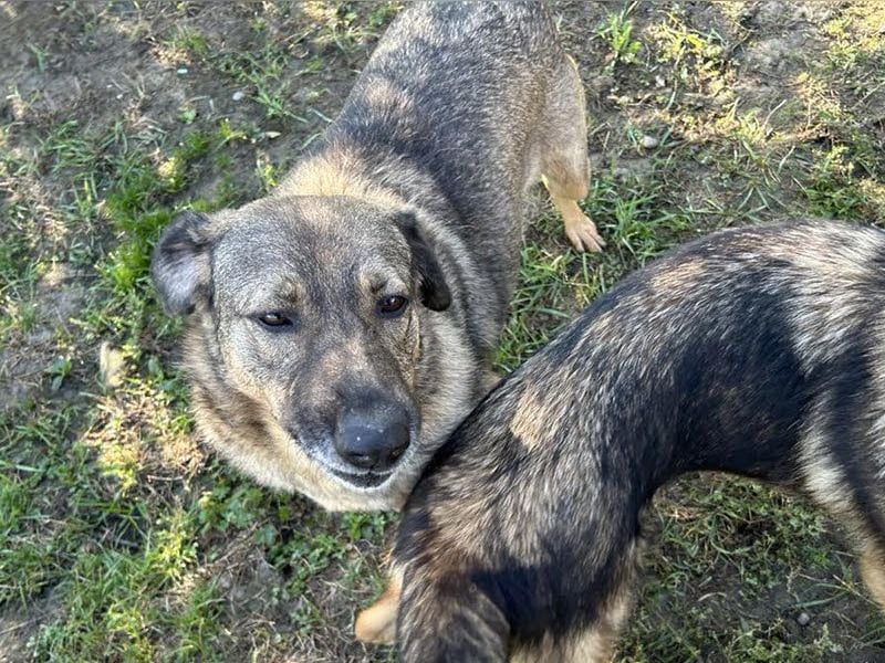 Smiley: Voller Liebe und Hoffnung