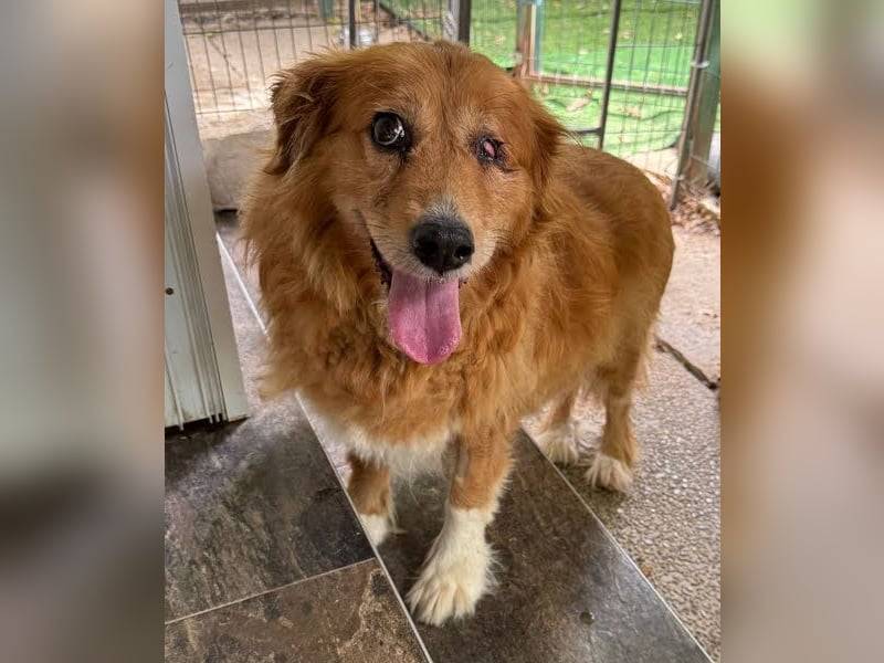 Pi: Liebevolle Seniorin