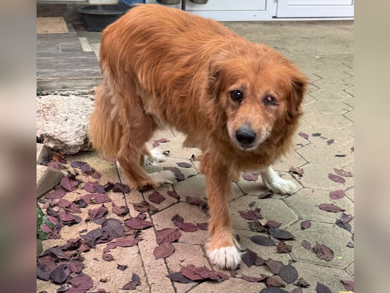 Pi: Liebevolle Seniorin