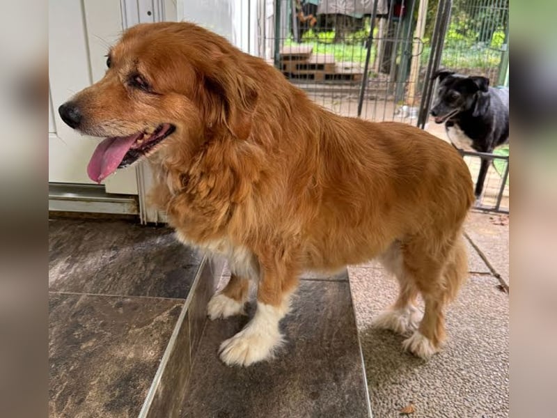 Pi: Liebevolle Seniorin