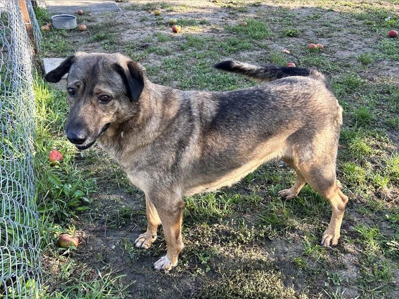 Smiley: Voller Liebe und Hoffnung