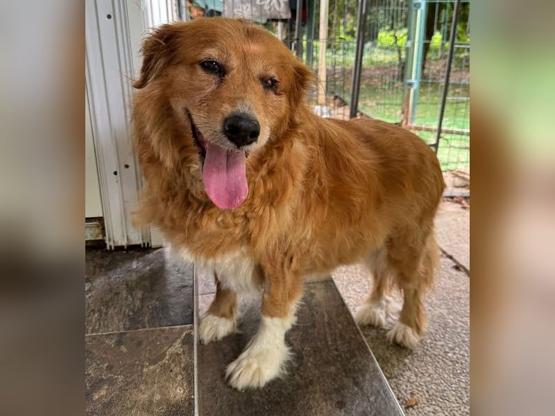 Pi: Liebevolle Seniorin