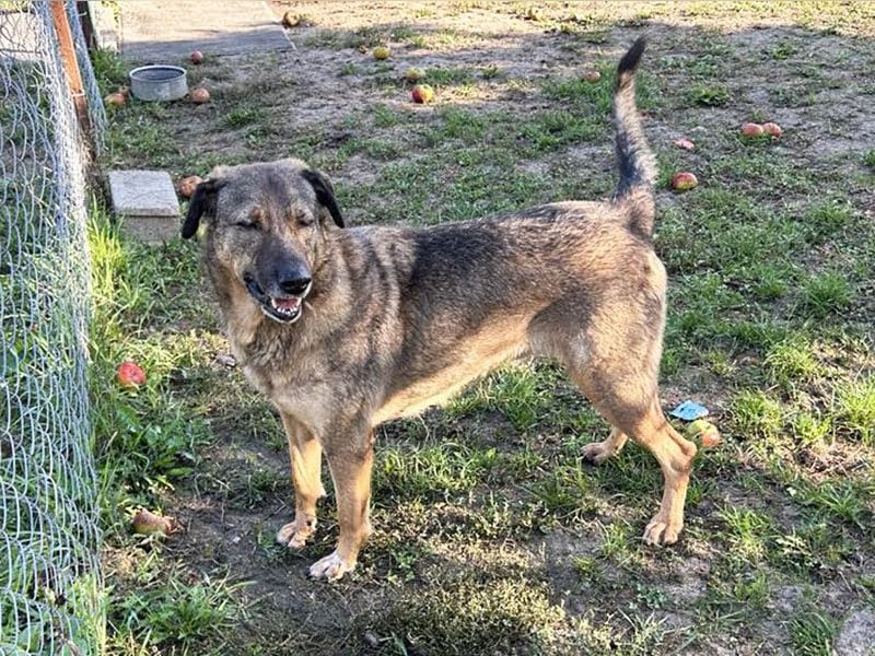 Smiley: Voller Liebe und Hoffnung