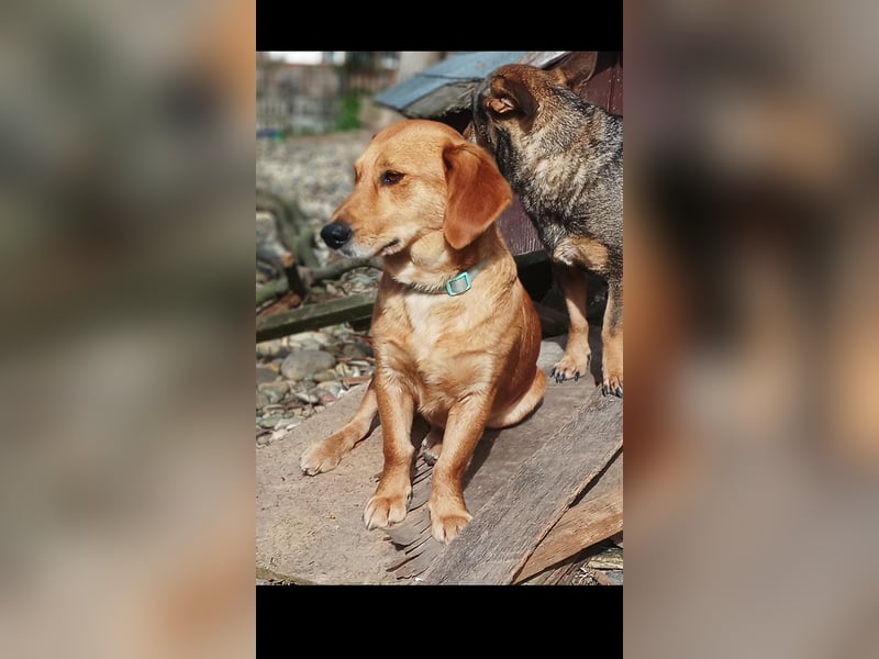 Barka sucht  ihre traumfamilie