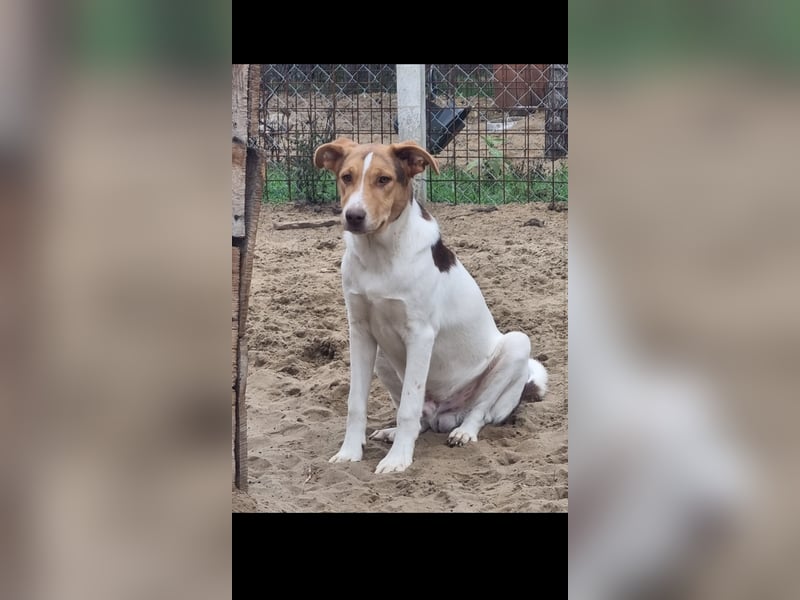 Dr. Bob sucht sein wohlfühlplätzchen