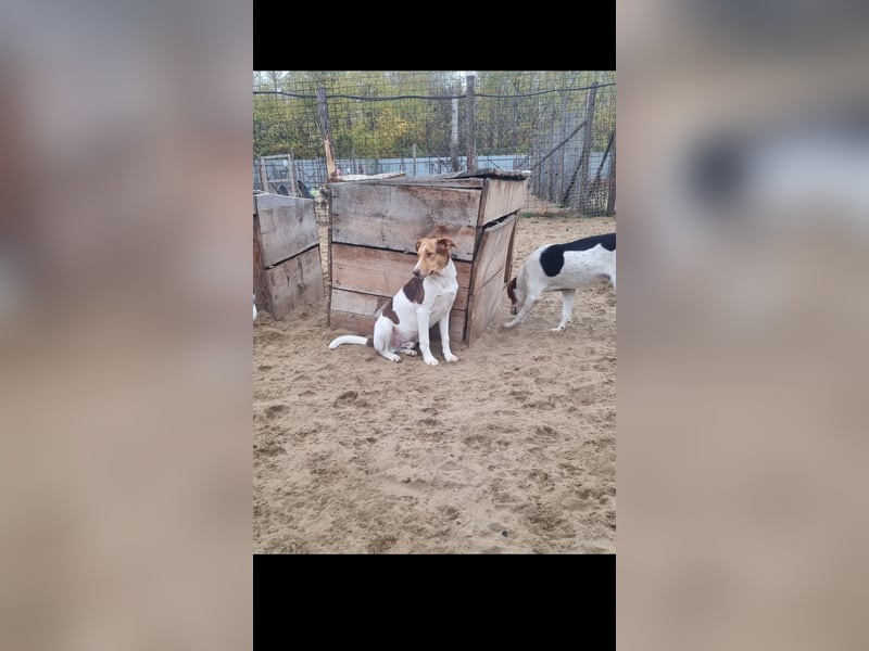 Dr. Bob sucht sein wohlfühlplätzchen